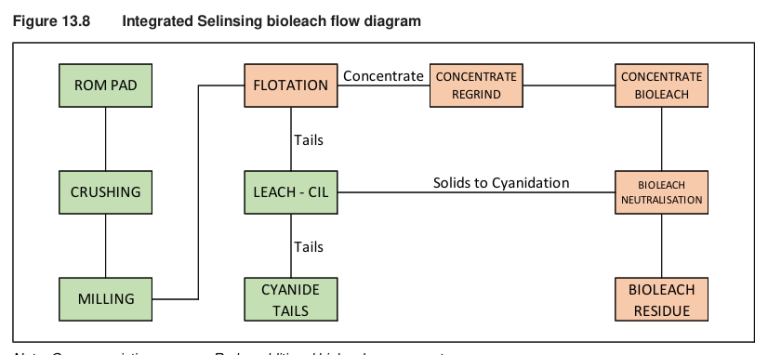 Figure 13.8 Integrated Selinsing bioleach flow diagram
