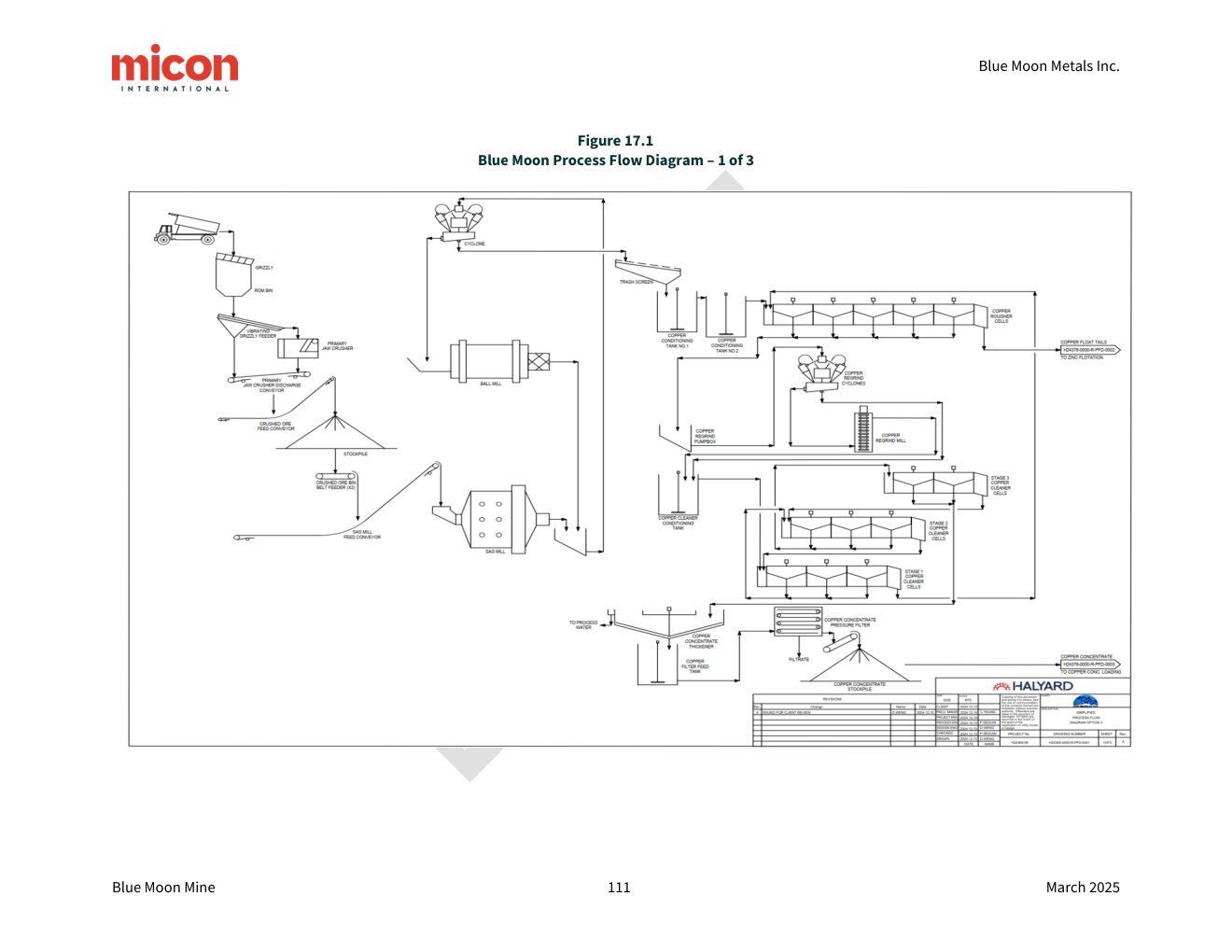 Process diagram from technical-report PDF page 124