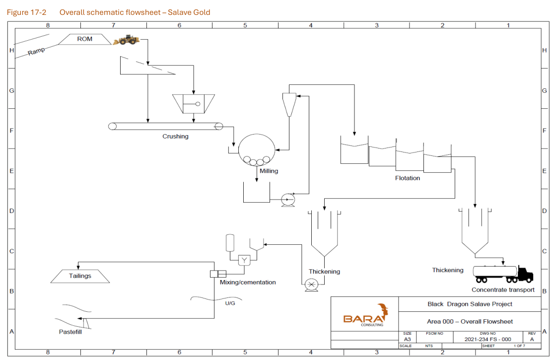 Figure 17-2 Overall schematic flowsheet – Salave Gold