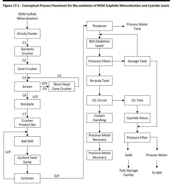 Figure 17-1 - Conceptual Process Flowsheet for Bio-oxidation of ROM Sulphide Mineralization and Cyanide Leach
