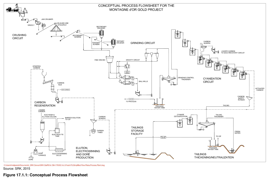 Figure 17.1.1: Conceptual Process Flowsheet