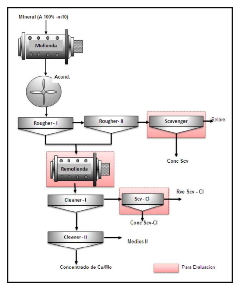 Figure 13-1 Batch Open Circuit Flotation Flowsheet