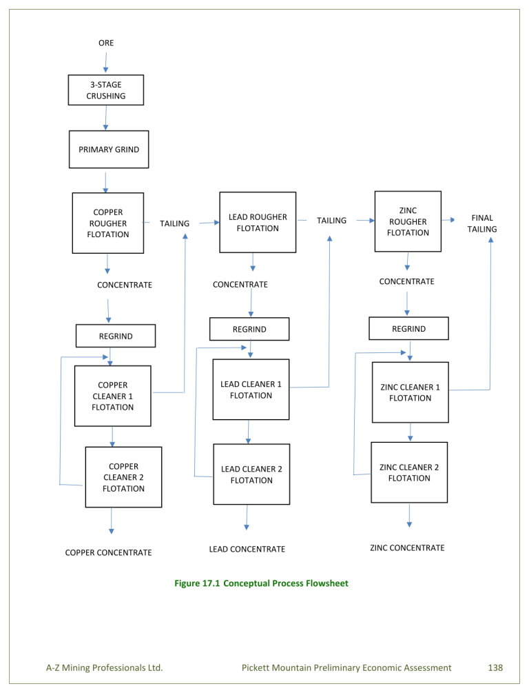Figure 17.1 Conceptual Process Flowsheet